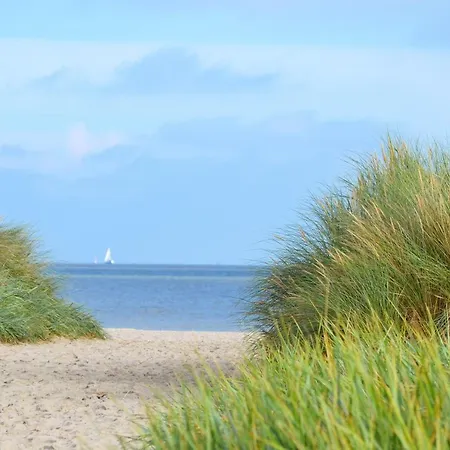 Meerwunder * Schillig