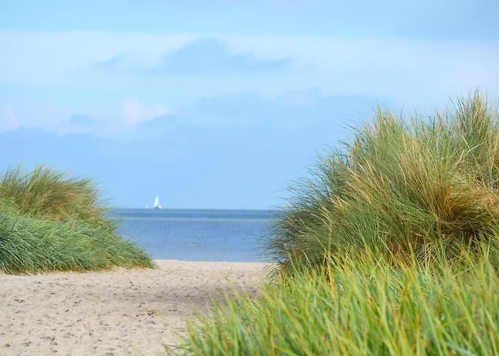 Meerwunder * Шиллиг